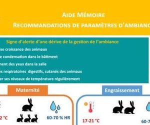 Lapin - Aide-mémoire - Maîtrise de l’ambiance