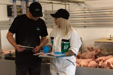 Optimiser la conduite alimentaire à partir du classement des carcasses