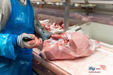 Hausse continue des cours du porc : une situation partie pour durer ?